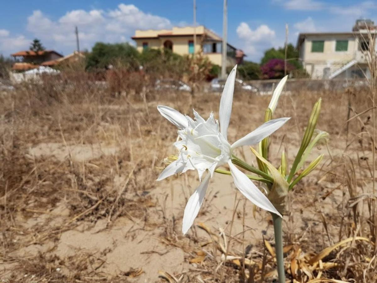 Maison Du Soleil Agnone Bagni Esterno foto